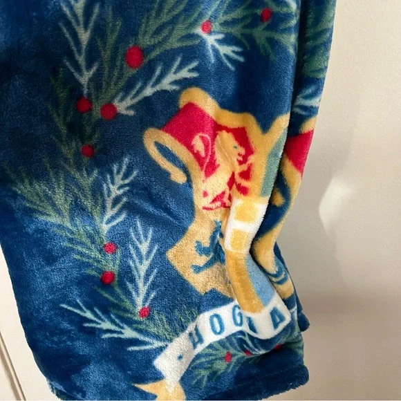 Harry Potter Blanket - Picture 3 of 5